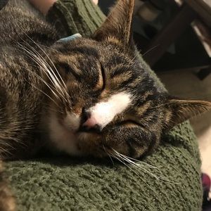 Meet your Posher, Macy